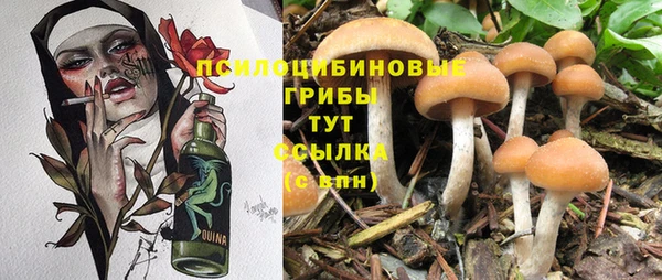 2c-b Шали