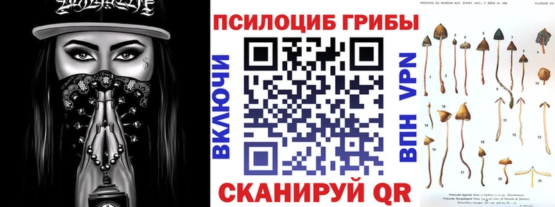 как найти закладки  Багратионовск  darknet какой сайт  Псилоцибиновые грибы MAGIC MUSHROOMS 